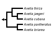 taxon links