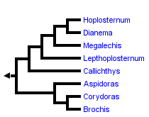 taxon links