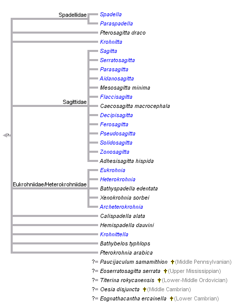 taxon links