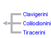 taxon links