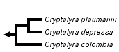 taxon links