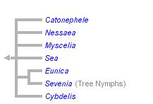 taxon links