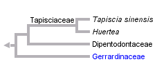 taxon links