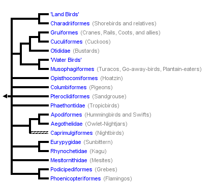 taxon links