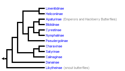 taxon links