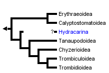 taxon links