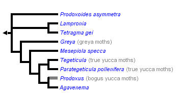 taxon links