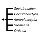 taxon links