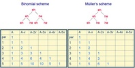 diatom division patterns